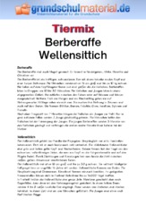 Berberaffe - Wellensittich.pdf